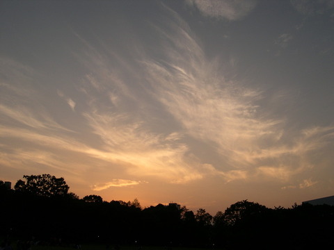 DSCN6827