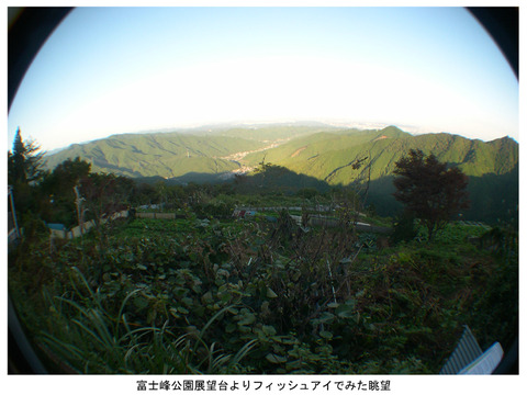 DSCN7289a