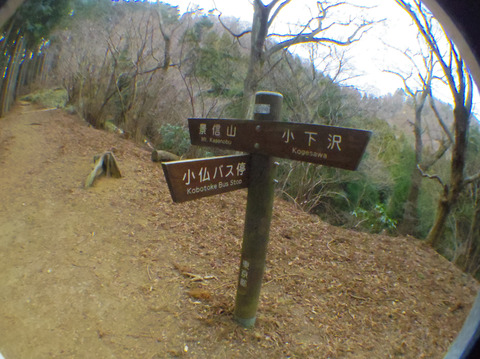 IMGP8241aa