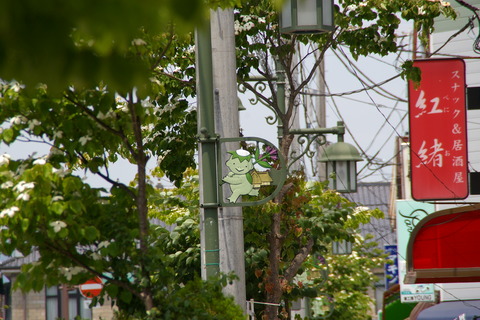IMGP4671