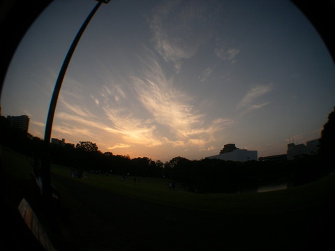DSCN6828