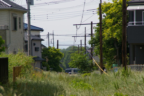 IMGP3087