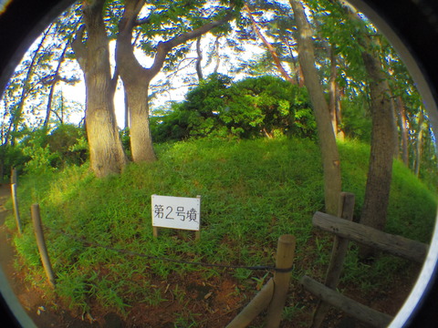IMGP1798