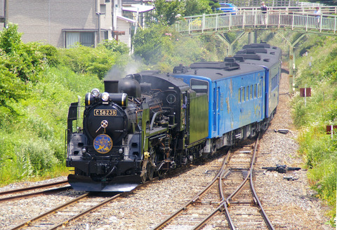 IMGP4684a