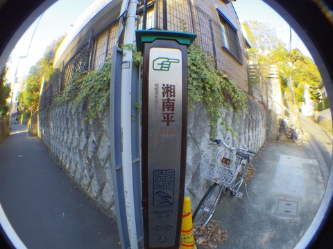 IMGP4628