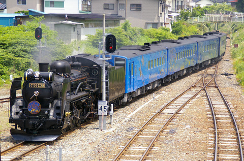 IMGP4688a