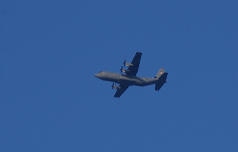 IMGP3169a