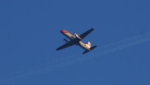 IMGP3175a