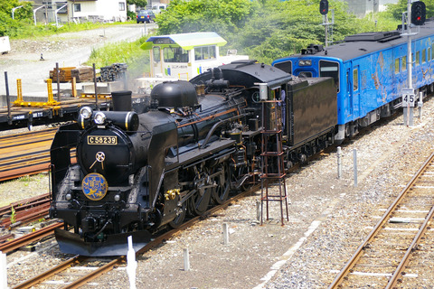 IMGP4690aa