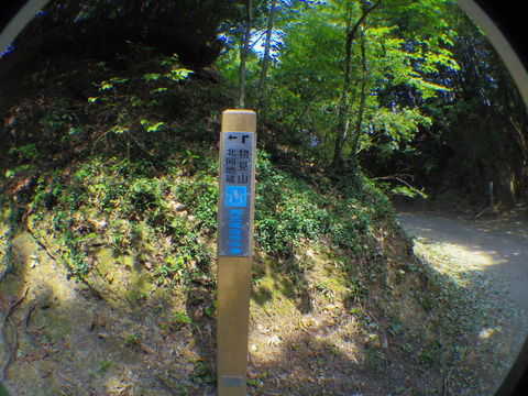 IMGP3535