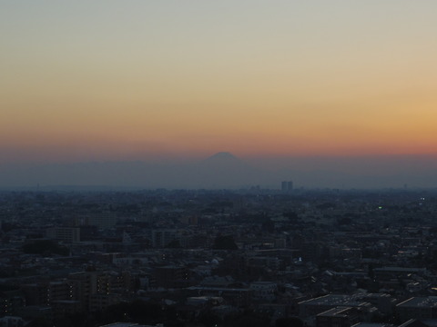 IMGP3843