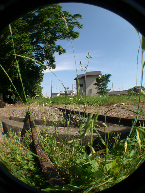 DSCN1234