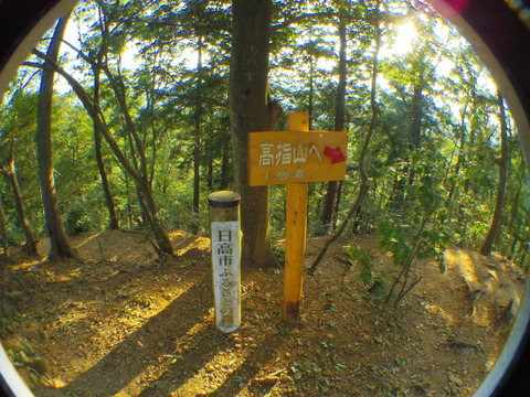 IMGP3563