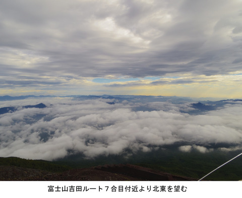 IMGP2419a