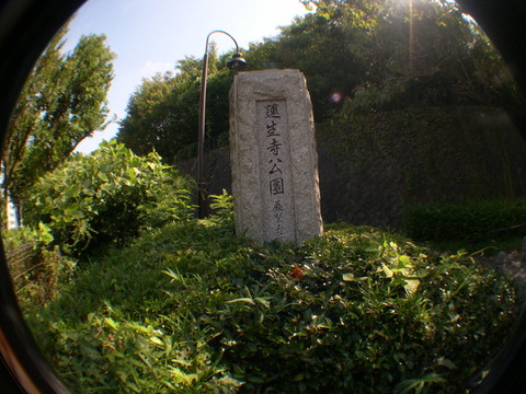 DSCN6763