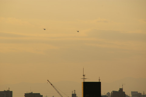 IMGP3920a