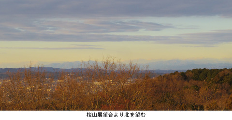 IMGP4760a