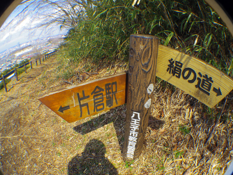 IMGP7426aa
