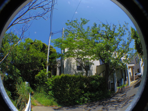 IMGP1633