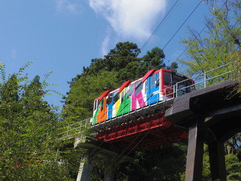 IMGP3250
