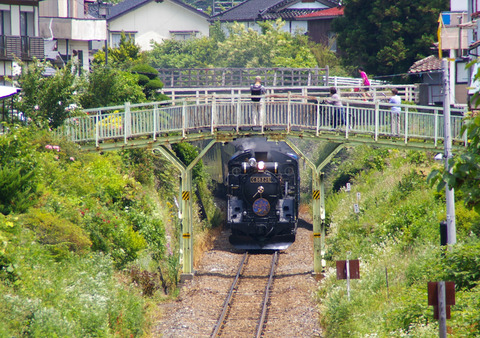 IMGP4675a