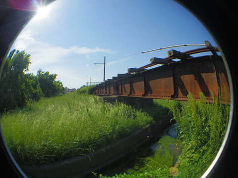 IMGP3081