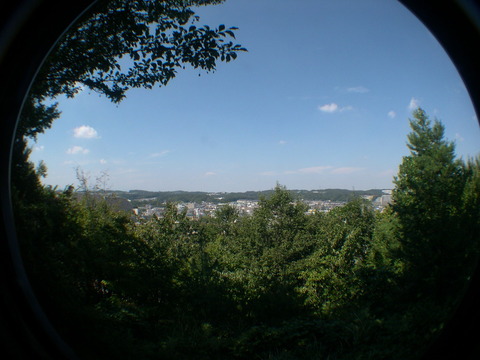 DSCN6774