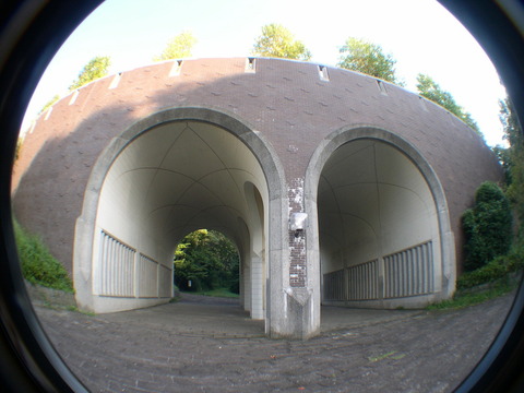 DSCN6801