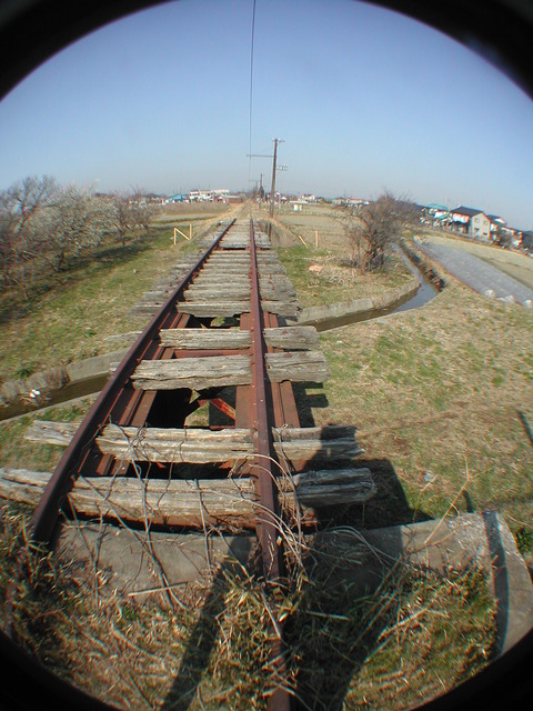 DSCN4976