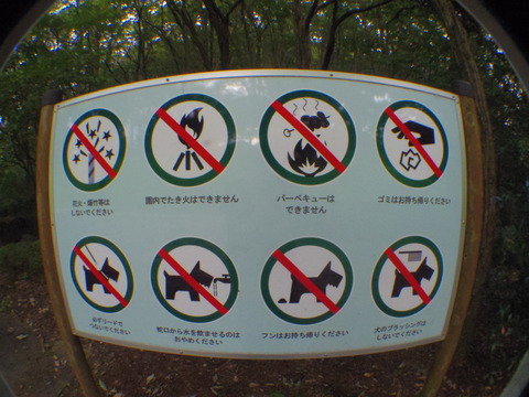 IMGP8905