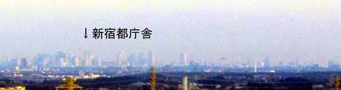 IMGP4754b