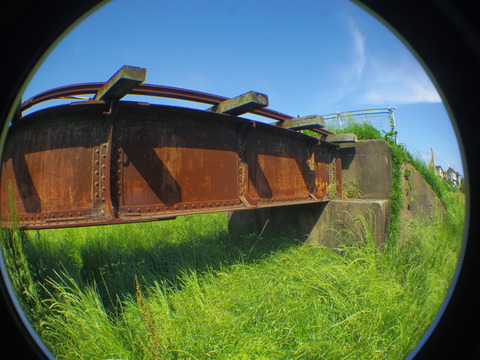 IMGP3082