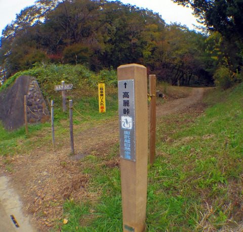 IMGP7546aa