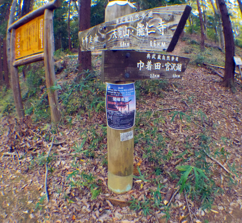 IMGP7540aa