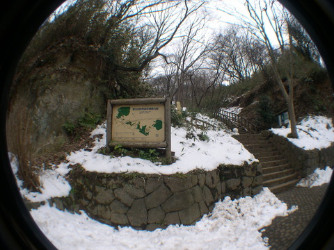 DSCN8208