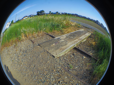 IMGP3155