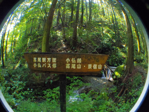 IMGP3117
