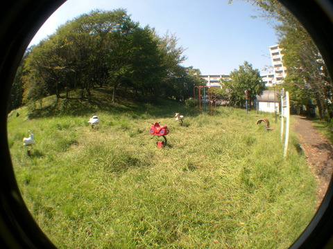 DSCN6767