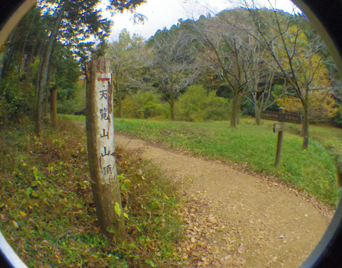 IMGP7497aa