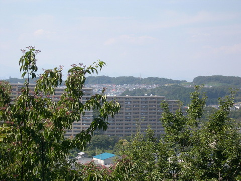 DSCN6777