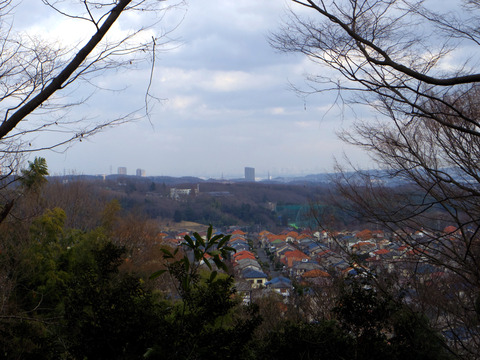 IMGP7444aa