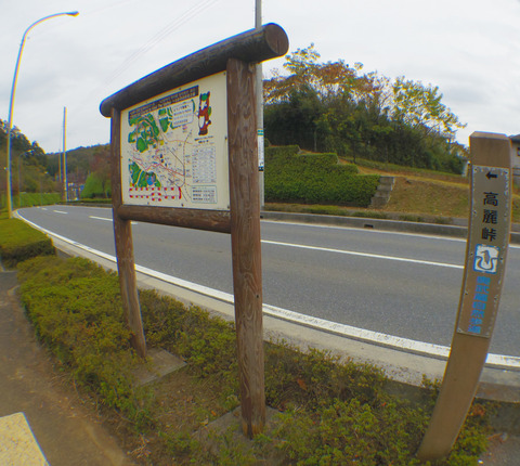 IMGP7543aa