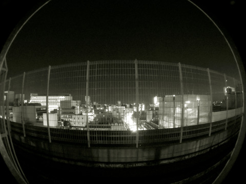 IMGP9005a