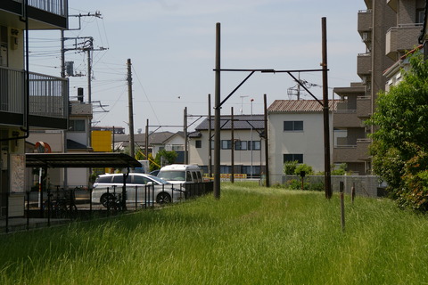 IMGP3082