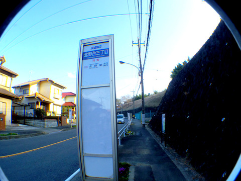 IMGP7474a