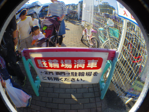 IMGP3779