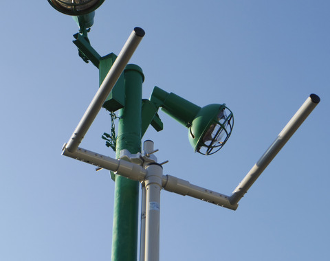 IMGP3809a