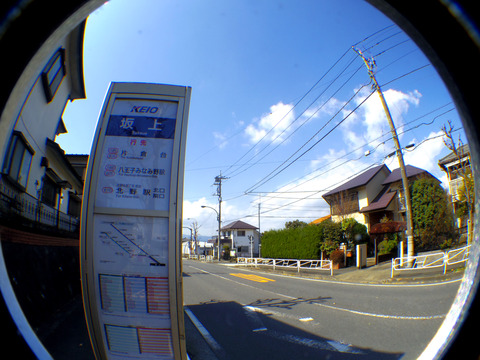 IMGP7420aa