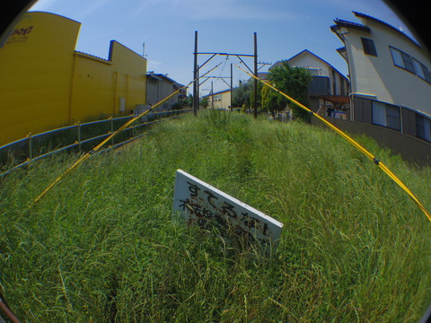 IMGP2983