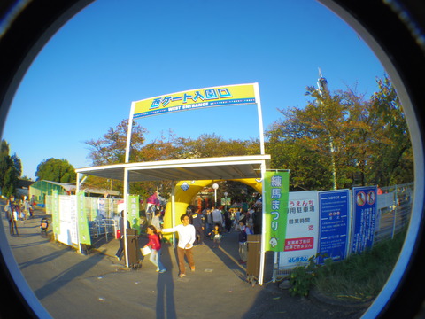 IMGP3826